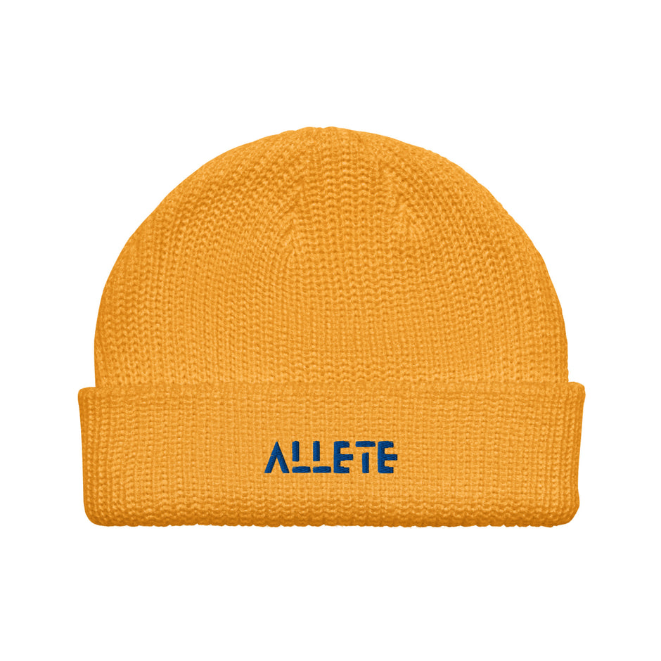 ALLETE – ALLETE